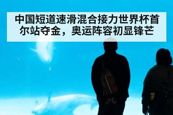 中国短道速滑混合接力世界杯首尔站夺金，奥运阵容初显锋芒
