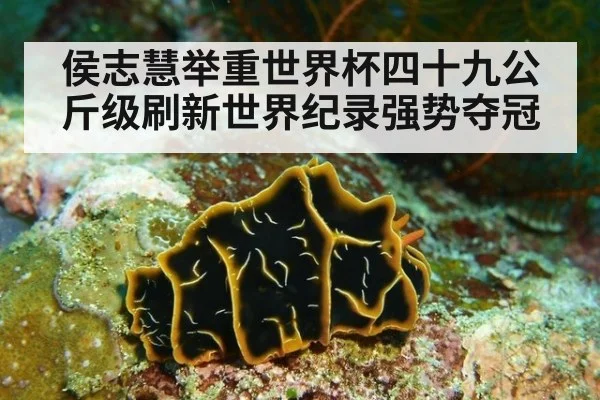 侯志慧举重世界杯四十九公斤级刷新世界纪录强势夺冠