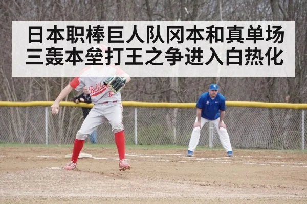 baseball game action