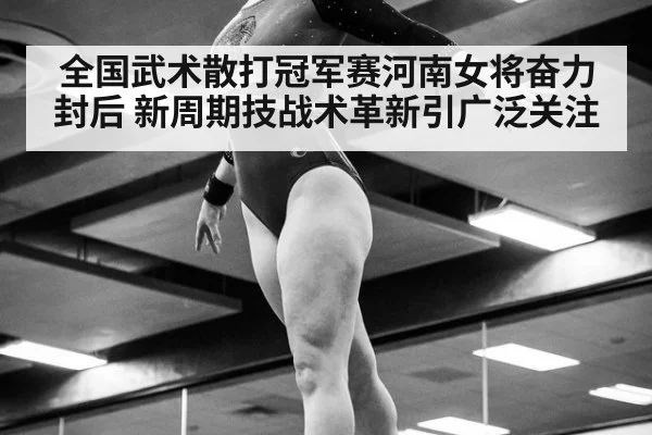 全国武术散打冠军赛河南女将奋力封后 新周期技战术革新引广泛关注